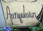 antiqulosium_logo.jpg
